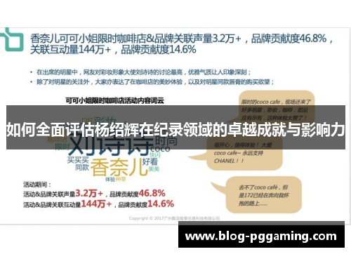 如何全面评估杨绍辉在纪录领域的卓越成就与影响力