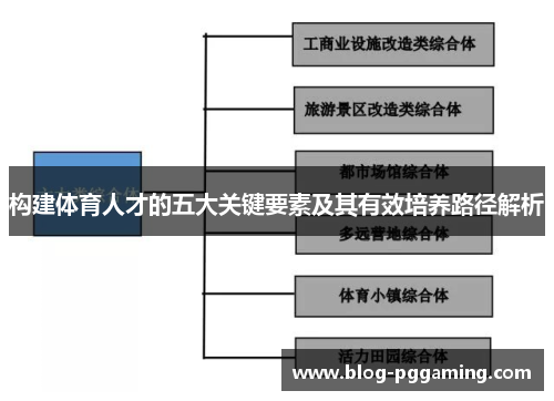 构建体育人才的五大关键要素及其有效培养路径解析
