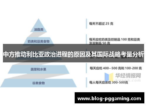 中方推动利比亚政治进程的原因及其国际战略考量分析