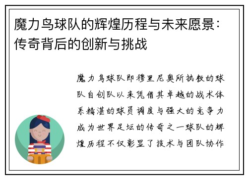 魔力鸟球队的辉煌历程与未来愿景：传奇背后的创新与挑战